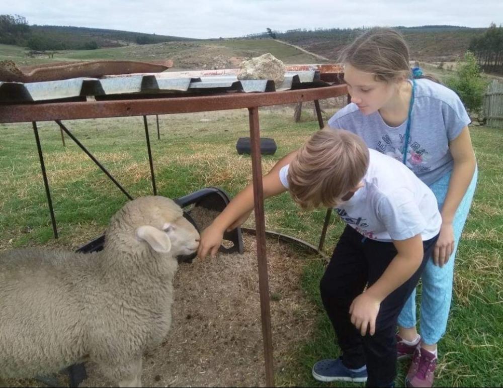 Rocks & Roses Farm Stay Lochiel 외부 사진