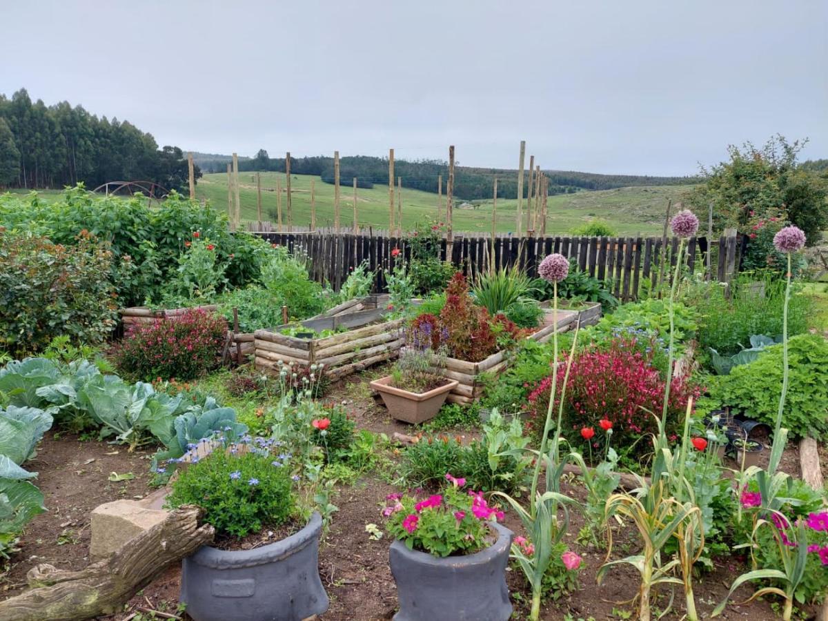 Rocks & Roses Farm Stay Lochiel 외부 사진