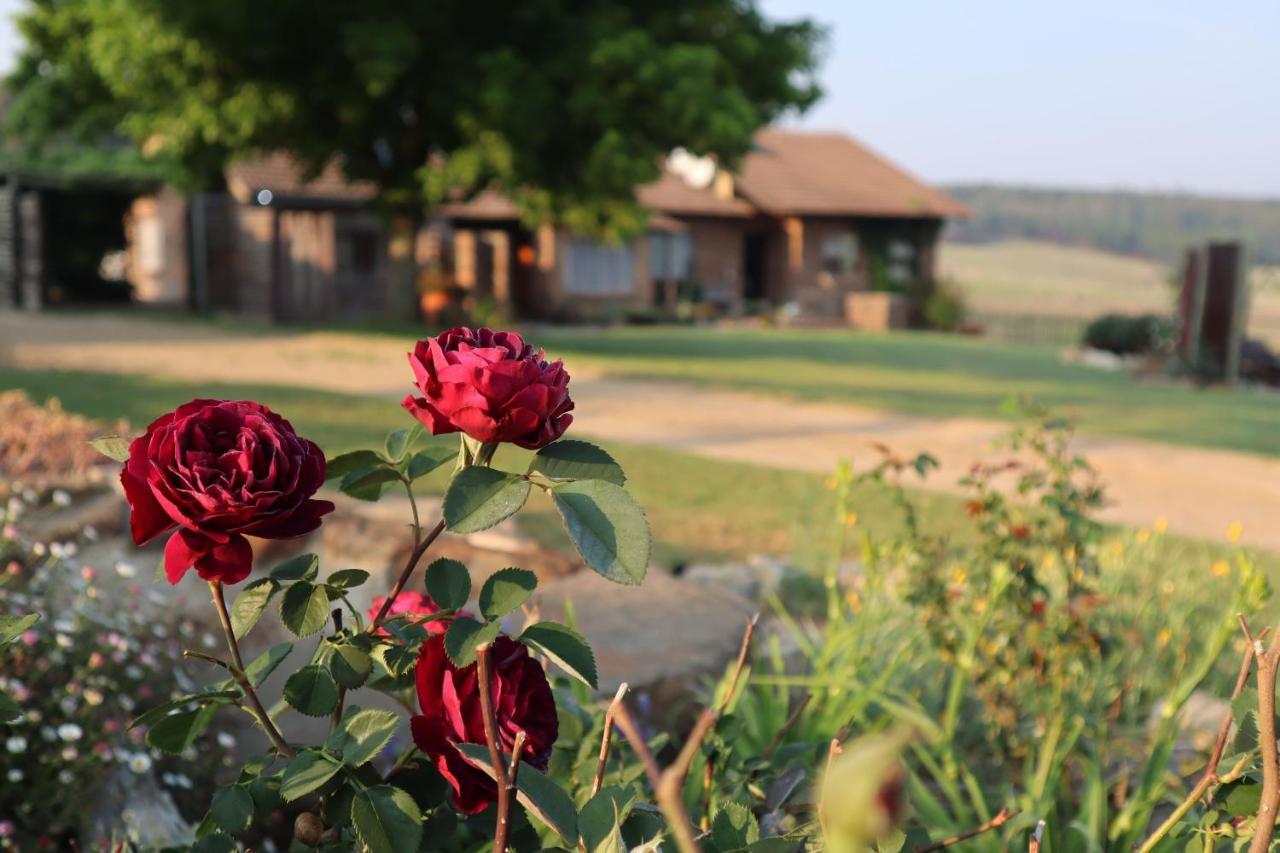 Rocks & Roses Farm Stay Lochiel 외부 사진