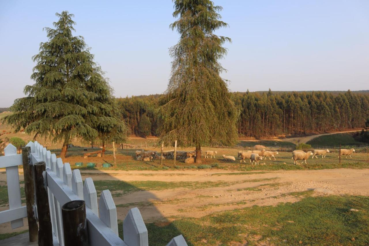 Rocks & Roses Farm Stay Lochiel 외부 사진