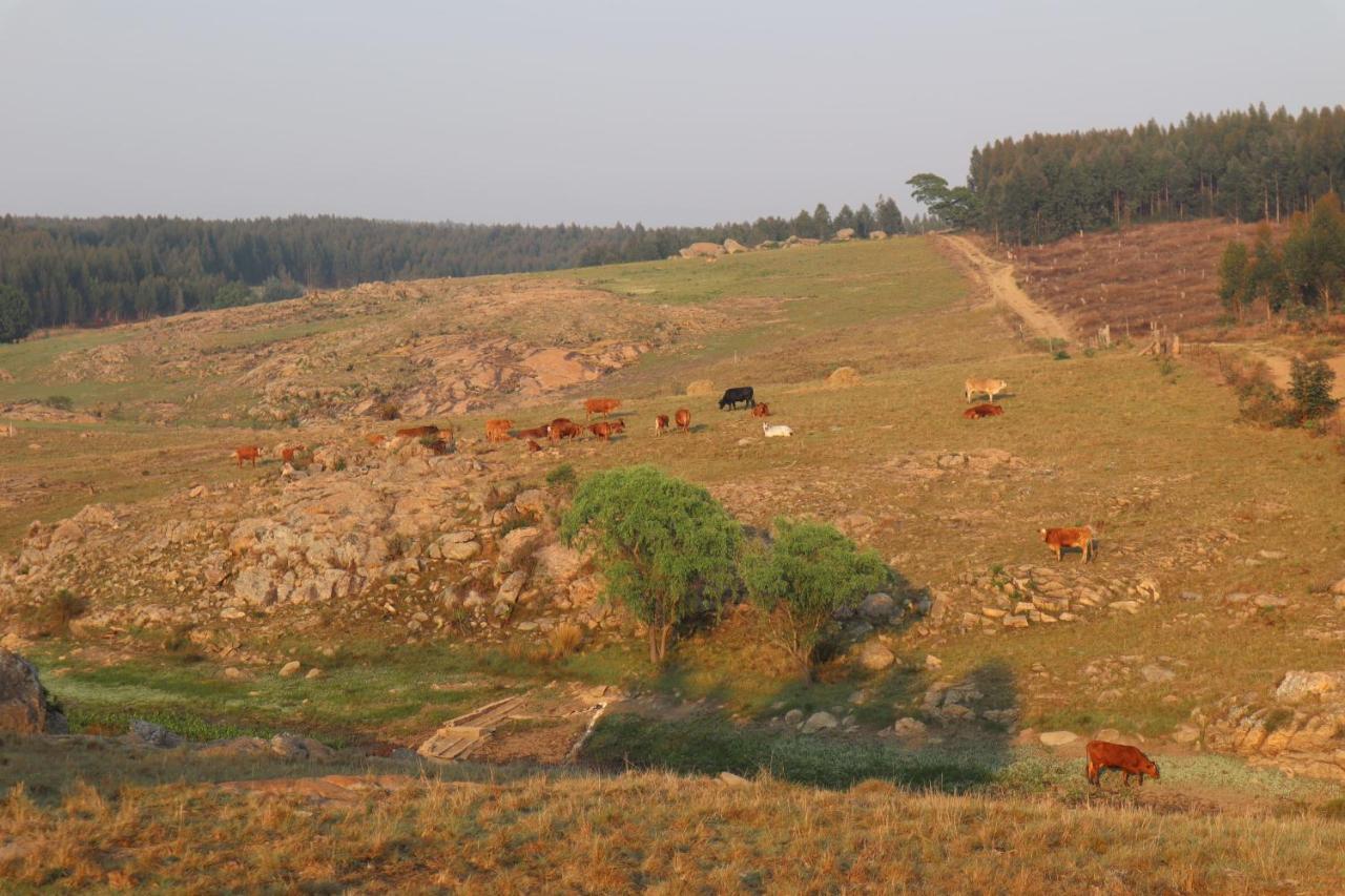 Rocks & Roses Farm Stay Lochiel 외부 사진