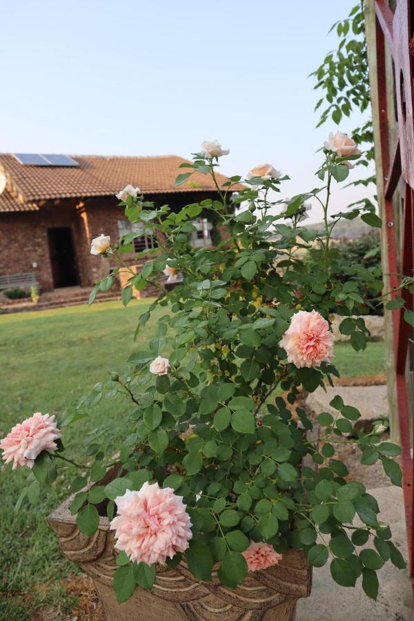 Rocks & Roses Farm Stay Lochiel 외부 사진