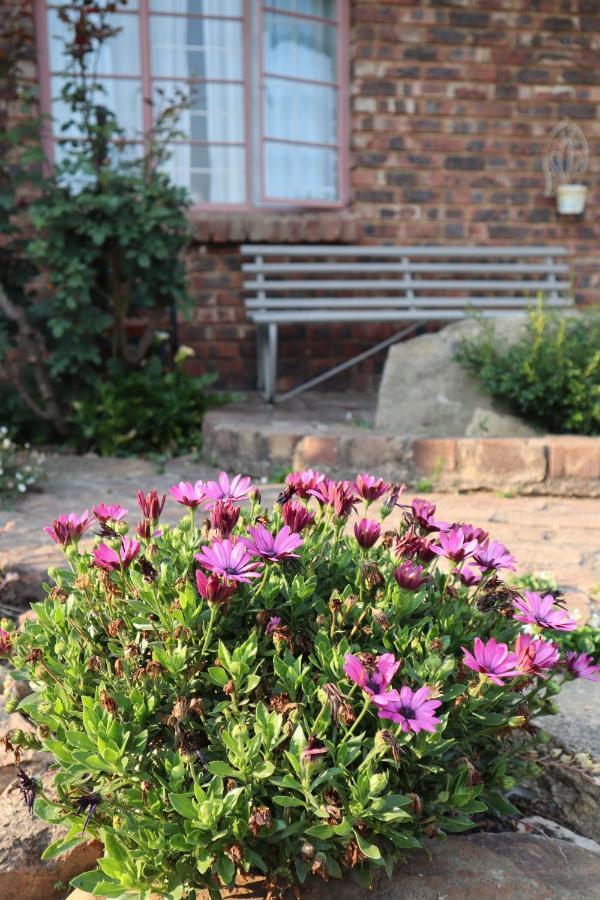 Rocks & Roses Farm Stay Lochiel 외부 사진